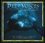 DEEP VOICES: whale songs and sounds